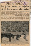 Enfin du nouveau... Une grande corrida sera organisée cet été dans les arènes gallo-romaines [de Senlis]