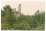 Ruines du château de Montepilloy