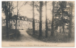 vignette