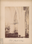 vignette