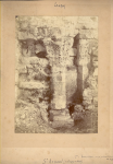 vignette