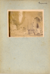 vignette