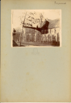 vignette