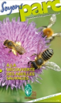 42 - Juillet - Octobre 2022 - A la découverte des abeilles sauvages vignette