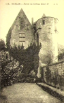Ruines du château Henri IV vignette