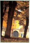 Vue du cours Pasteur vignette