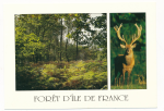 Forêt d'Ile de France vignette
