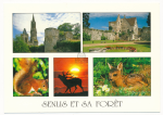 Senlis et sa forêt vignette