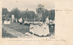 Pont Ste-Maxence (Oise) - Le bouquet provincial vignette